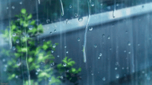 باران بارش بارندگی