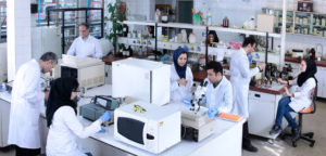 صندوق حمایت از پژوهشگران تصویب کرد: حمایت از ۱۶۰ طرح علمی و فناورانه جدید