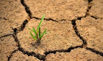 طرح توسعه شاخص‌های خشکسالی کشاورزی اجرایی می‌شود