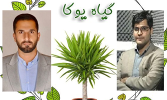 مخترعان ایرانی با گل های زنگوله ای به جنگ آلودگی صوتی آمدند