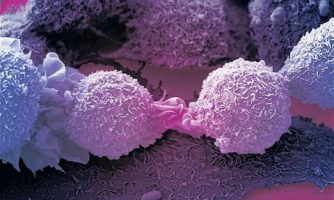 امید به درمان همه سرطان ها با کشف جدید در سیستم ایمنی