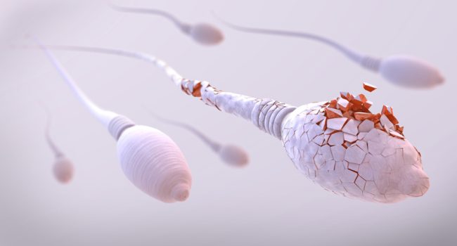 بررسی اپیدمیولوژی اثر عوامل مختلف روی قطعه‌قطعه شدن DNA اسپرم مردان نابارور