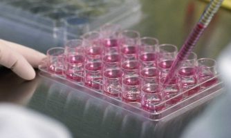 تامین نیاز آزمایشگاه‌ها با کیت‌های تشخیصی سلولی و مولکولی ایران‌ساخت
