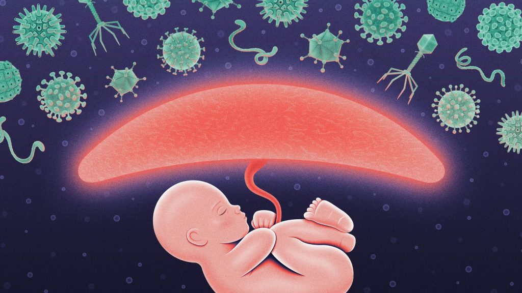 تاثیر ارتباط میان جفت و نانوذرات در ایجاد اختلالات جنینی