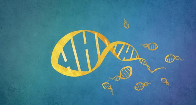 یافته های جالب محققان رویان در خصوص عوامل موثر در تکه تکه شدن DNA اسپرم