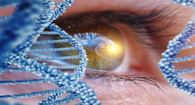 موفقیت محققان ایرانی در راستای ژن درمانی و پیشگیری از نابینایی مبتلایان به عارضه ارثی شبکیه