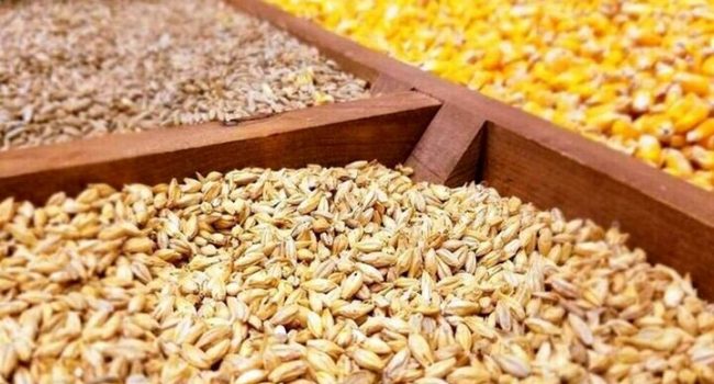 کاهش وابستگی کشور در تامین هسته‌های اولیه غذایی به کمتر از ۸۰ درصد