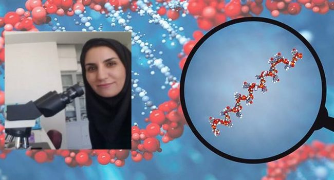 پیش‌بینی سلامت جنین و توانایی لانه‌گزینی آن با نشانگرهای کم‌تهاجمی