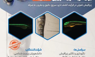 برگزاری کارگاه علمی “تولید مدل تراریخته زبرافیش برای غربالگری دارویی”