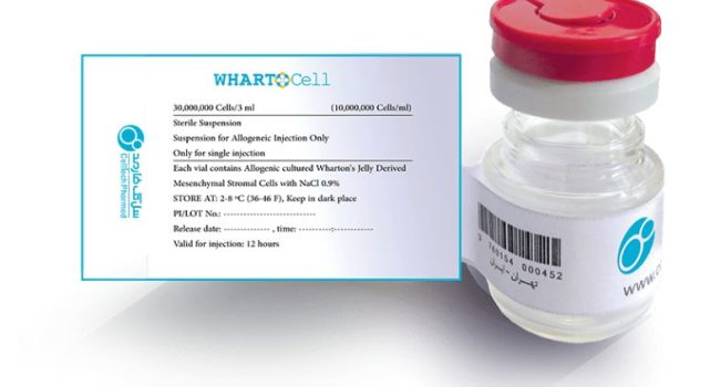 محصول ایرانی سلولدرمانی آرتروز موفق به کسب مجوز سازمان غذا و دارو شد