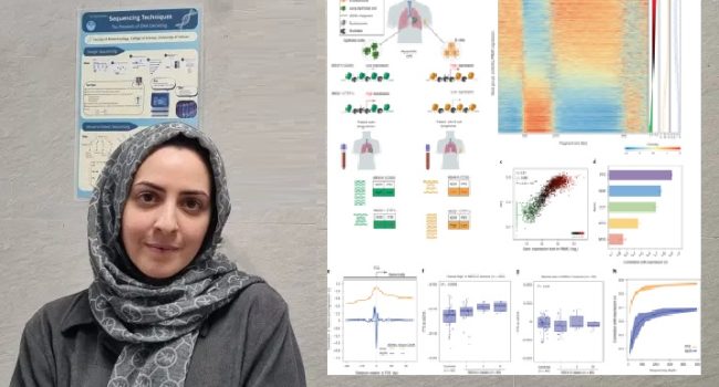 دستاورد محقق ایرانی در تشخیص غیرتهاجمی سرطان با تحلیل DNA آزاد خون