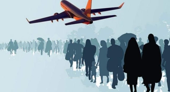 تراژدی کوچ بی بازگشت ۹۹ درصد نخبگان ایرانی / افشین:کل صادرات دانشبنیان ایران حدود ۶۰۰ میلیون دلار است