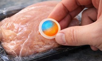 تشخیص فساد مواد غذایی با ایروژل های هوشمند ایران‌ساخت