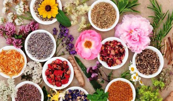پیشگیری از تقلبات در بازار گیاهان دارویی ایران با یافته های یک رساله دکتری