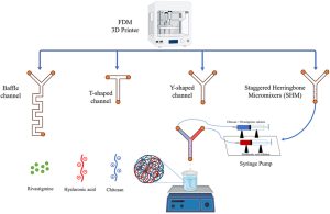 Microfluidic fabrication of rivastigmine-loaded chitosan-hyaluronic acid nanoparticles using 3D-Printed devices