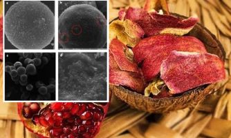 تولید آنتی‌اکسیدان طبیعی از ضایعات پوست انار با قابلیت حفظ پایداری روغن آفتابگردان