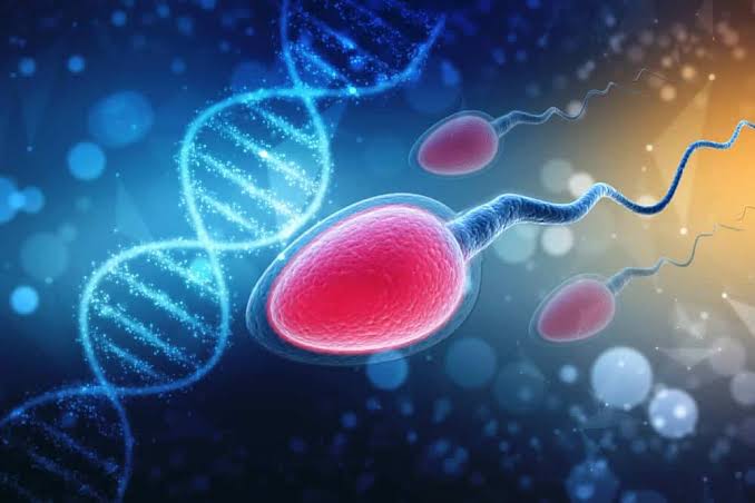 قطعه‌قطعه شدن DNA اسپرم