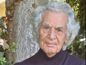 سندوزی