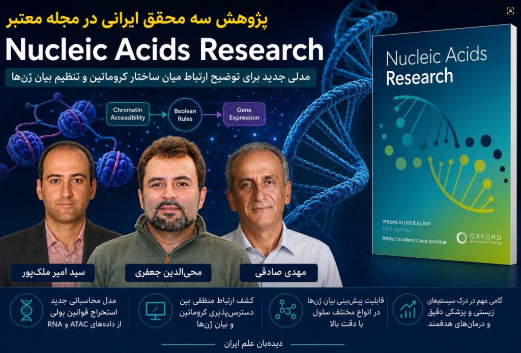 پژوهشگران ایرانی راز تنظیم فعالیت ژن‌ها در سلول‌های مختلف را روشن‌تر کردند