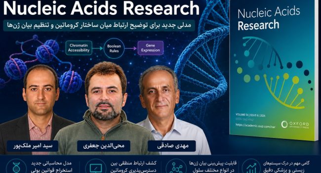 پژوهشگران ایرانی راز تنظیم فعالیت ژنها در سلولهای مختلف را روشنتر کردند