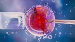 In Vitro Maturation IVM بلوغ آزمایشگاهی تخمک