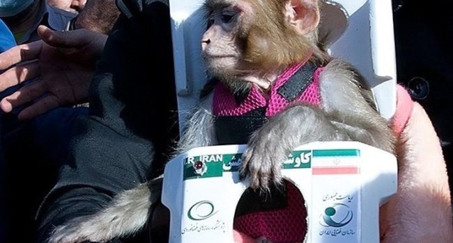 آمادگی پرتاب نسل جدید کپسول حامل موجود زنده از سال آینده/ توسعه نسل جدید ماهواره‌برهای خانواده «قائم» در هوافضای سپاه